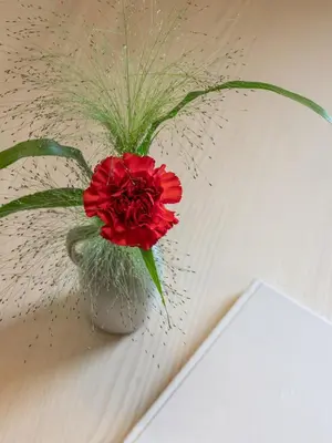 a red flower in a vase on a table at Dianthus Apartment in Lana