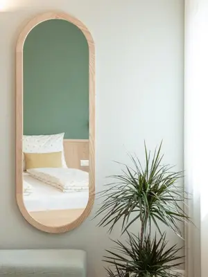a mirror on a wall next to a couch at Dianthus Apartment in Lana
