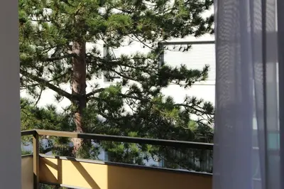 a view of a pine tree from a balcony at Elina Apartment in Merano