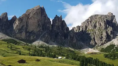 a mountain range with a green field and trees at Alpin Hotel & Restaurant Frara in Selva di Val Gardena