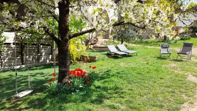 two chairs and a tree in a yard with flowers at Charmantes Ferienhaus in Eppan, Südtirol, ganzes Haus nahe Montiggler Badeseen und Bozen in Appiano sulla Strada del Vino