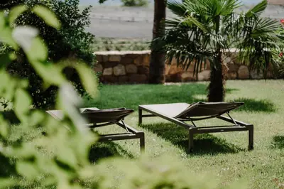 two picnic tables in the grass with a palm tree at die Waltraud im Refugium Rochus in Pianizza di Sopra