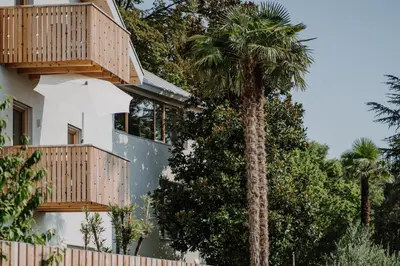 a palm tree in front of a house at die Waltraud im Refugium Rochus in Pianizza di Sopra