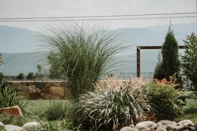 a garden with tall grass and other plants at die Waltraud im Refugium Rochus in Pianizza di Sopra