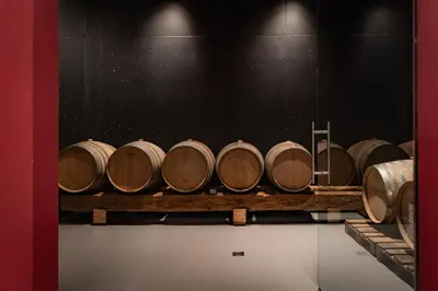 a row of wine barrels in a cellar at Hillepranter in Marlengo