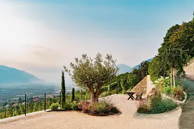 a garden with a bench and a tree on a hill at Hillepranter in Marlengo