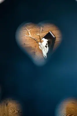 a heart shaped image of a skull on a table at Apartments Baumann Living in Rodengo