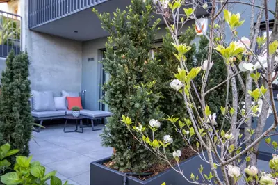 a garden with trees and a couch in the background at Mali Apartments Lounge in Tirolo