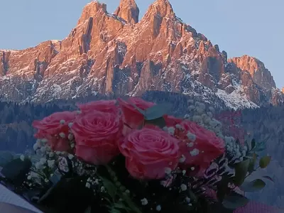a bouquet of roses in front of a mountain at Appartamenti Primiero in Fiera di Primiero