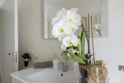 a vase filled with white flowers on top of a sink at Appartamenti Primiero in Fiera di Primiero