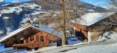 a log cabin in the snow with a tree at Moarhof Gufidaun in Chiusa
