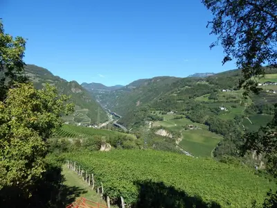 a view of a vineyard in the hills at Pignathof Castanea in Campodazzo