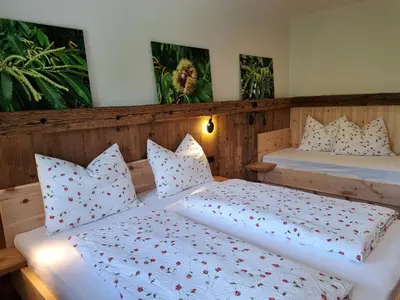 two beds in a room with two beds sidx sidx sidx at Pignathof Castanea in Campodazzo