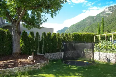 a cat standing in a yard next to a tree at Melaniesguesthouse 4 Zimmerwohnung in Caldaro