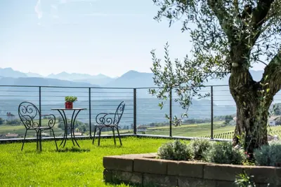 a table and chairs sitting in the grass near a tree at Wolkanhof Vineyard Apartments in Appiano sulla Strada del Vino