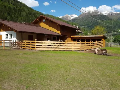 a barn with two animals standing outside of it at Ottohof - Morgenrot in Brennero