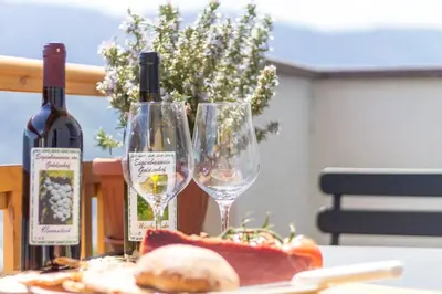 a table with two wine glasses and a plate of food at Goldenhof Penon in Penone