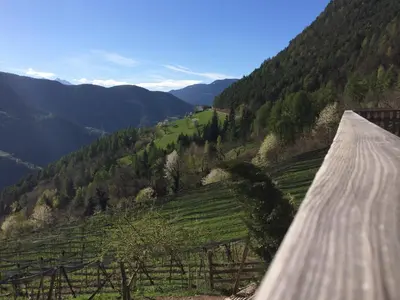 a view of a valley from a wooden bridge at Gruberhof in San Genesio Atesino