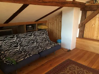 a room with a zebra print couch in an attic at Gruberhof in San Genesio Atesino