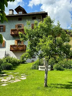 a tree in the grass in front of a building at Casa Gianmoena in Cavalese
