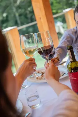 two people holding up wine glasses at a table at Hotel Lago della Creta in San Vigilio Di Marebbe