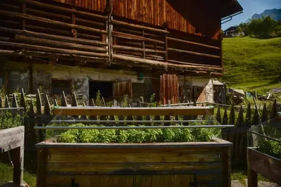 a garden in front of a building with aestead at Residence Rosarela in Badia