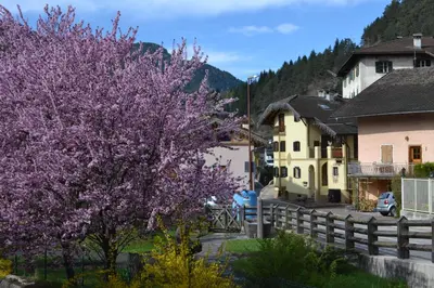 a purple tree in front of a house and a fence at B&B La Tana dell'Orso - Die Bärenhöhle in Castello di Fiemme