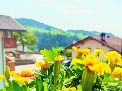 a bunch of yellow flowers in front of a house at Vidora Apartments - Dolomites Escape in Alpe di Siusi (Seiser Alm) in Fiè