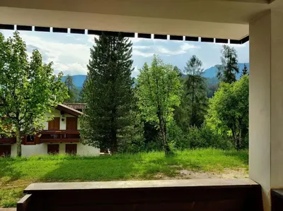 a window with a view of a yard with trees at Falcade Dolomiti La Quiete piano terra in Fregona