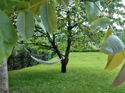 a hammock hanging from a tree in a park at Ciasa Erica - Val di Non in Predaia