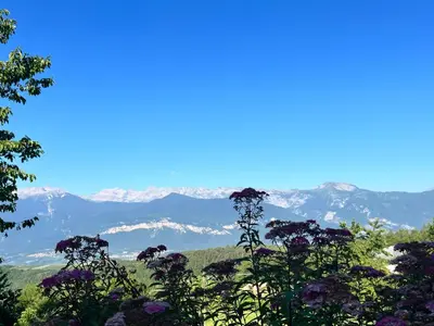 a view of the mountains from the top of the mountain at Ciasa Erica - Val di Non in Predaia