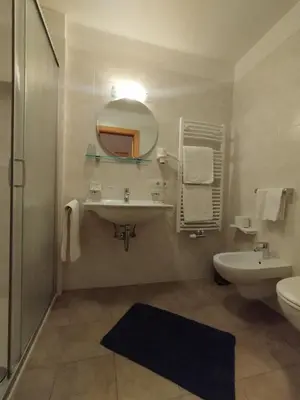 a bathroom with a sink and a mirror and a toilet at romy's B&B in Braies