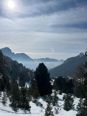 a view of a valley with snow and trees at Gardena SudTirol Gianni's Home in Santa Cristina in Val Gardena