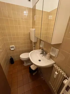 a bathroom with a toilet and a sink and a mirror at Alloggio Dolomites in Bolzano