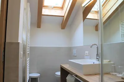 a bathroom with a sink and a toilet at Hotel Landgasthof Lärchenwald in Collepietra