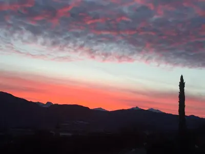 a sunset with a palm tree and mountains at Gfillhof Ferienwohnung 1 in Appiano sulla Strada del Vino