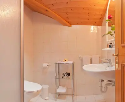 a bathroom with a sink and a toilet at Gfillhof Ferienwohnung 1 in Appiano sulla Strada del Vino
