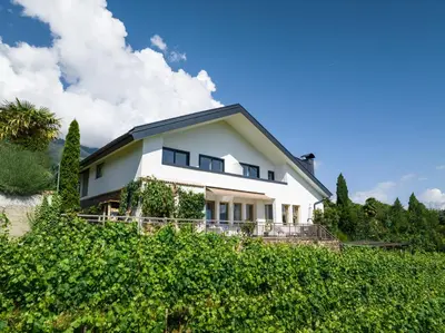 a white house on a hill with bushes at Villa Maria Boutique Apartment St Pauls in Appiano sulla Strada del Vino