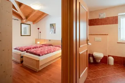 a bedroom with two beds and a toilet at Appartamenti Agriturismo Cèsa Ciasates in Canazei