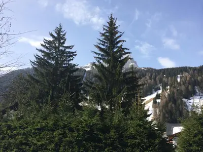 three tall trees in front of a snow covered mountain at Residence Soel in Selva di Val Gardena