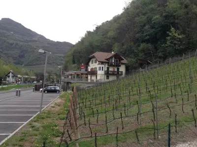 a house on the side of a hill with a fence at Ottenkellerhof in Bolzano