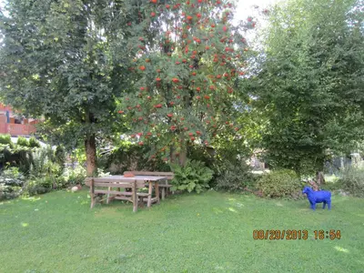 a picnic table and a blue cat standing under a tree at Condominio Zorzi in Moena