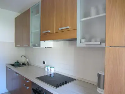 a kitchen with a sink and a counter top at Condominio Zorzi in Moena