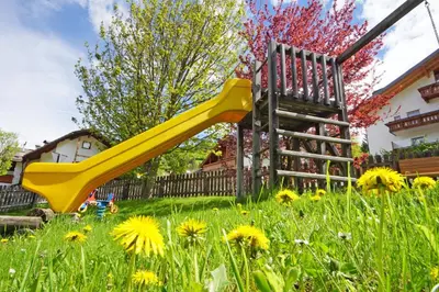 a yellow slide in a field of flowers at Pension Arnica B&B in San Vigilio Di Marebbe