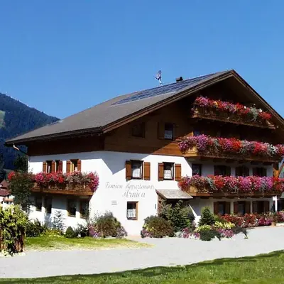 Pension Arnica B&B