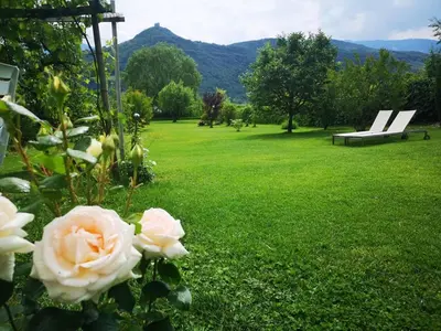 a park with a bench and roses in the grass at Ferienwohnung Seespiegel direkt am Kalterer See in Caldaro