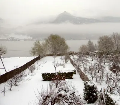 a snow covered garden with a mountain in the background at Ferienwohnung Seespiegel direkt am Kalterer See in Caldaro