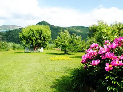 a garden with pink flowers and trees and mountains at Ferienwohnung Seespiegel direkt am Kalterer See in Caldaro