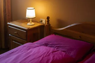 a bedroom with a bed with a lamp on a dresser at Villa Ginestra 3 in Moena