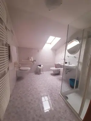 a bathroom with a toilet and a sink and a shower at Hotel Pörnbacher in Valdaora